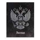 Дневник для 5-11 классов, "Герб", твердая обложка 7БЦ, глянцевая ламинация, 48 листов 4698423 - фото 8976247