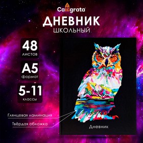 Дневник для 5-11 классов, "Неон. Сова", твердая обложка 7БЦ, глянцевая ламинация, 48 листов 4698430