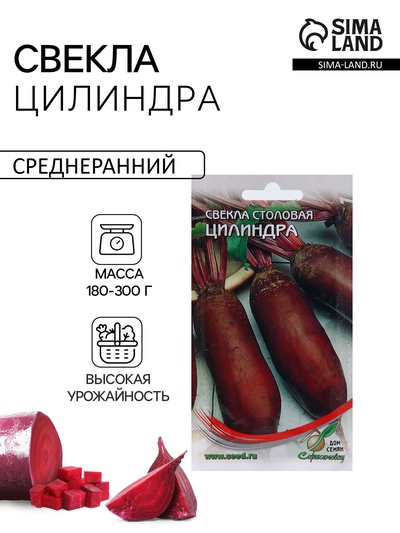 Семена Свекла столовая «Цилиндра» 140 шт.