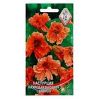 Семена цветов Настурция махровая "Сальмон" 10 шт - Фото 3