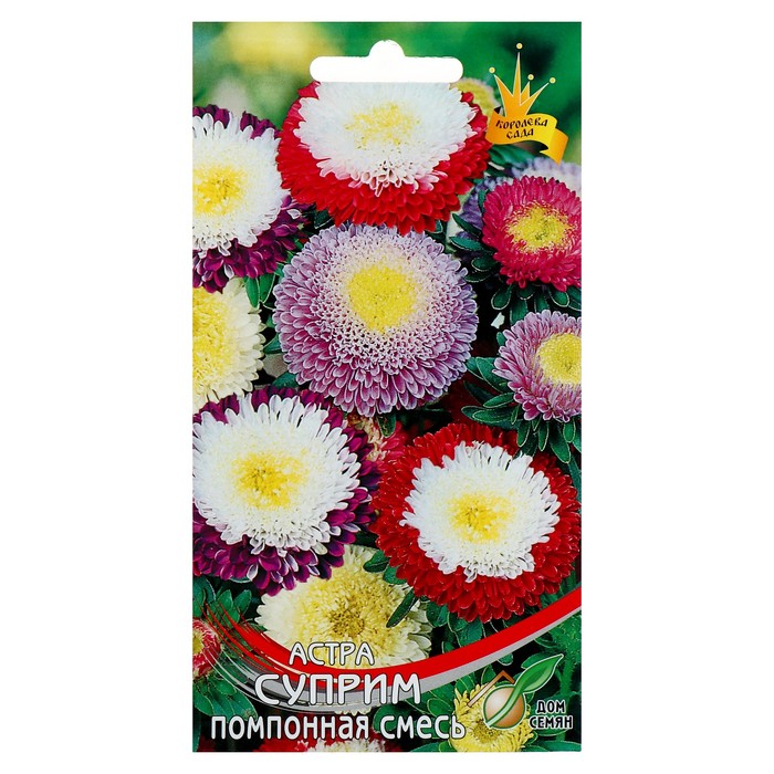 Семена цветов Астра 