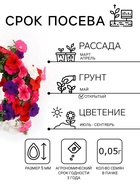 Семена цветов Петуния «Балконная», 210 шт., «Дом семян» - Фото 2