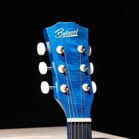 

Акустическая гитара Belucci BC3840 1349 (Skelet)