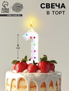 Свеча в торт на день рождения «Цифра 1 », 9 см - Фото 1