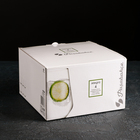 Стаканы Paşabahçe «Аллегра», 425 мл, набор 4 шт., стекло, прозрачные - Фото 2