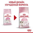 Сухой корм RC Kitten для котят, 300 г - Фото 3