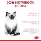 Сухой корм RC Kitten для котят, 300 г - Фото 4