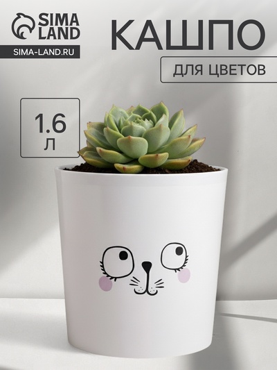 Кашпо для цветов «Мордочка», 1.6 л, d=14 см, h=14 см, пластиковое