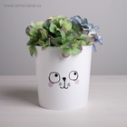Кашпо «Мордочка», 1,6 л, 14 х 14 см - фото 14987951