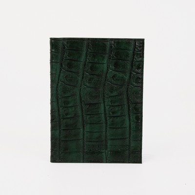 Обложка для автодокументов с вкладышами ПВХ, цвет зелёный