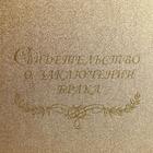 Папка для свидетельства о заключении брака "Пыль золотая" балакрон, мягкая, А4 - фото 24360083 Папка для свидетельства о заключении брака "Пыль золотая" балакрон, мягкая, А4 - фото 24360083