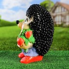 Садовая фигура из гипса «Ёж Семён с клубничкой», 17×17×35 см - Фото 3
