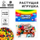 Растущие игрушки в пакете «Мини шарики», МИКС - Фото 1