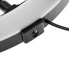 Светодиодная кольцевая лампа на штативе Luazon SNP098, 10" (26 см), 20 Вт, штатив 27-85 см - Фото 6