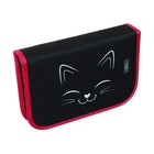 Пенал школьный, 3 секции, 14×21×4 см «Котик» - Фото 3