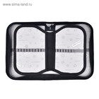 Пенал школьный, 3 секции, 14×21×4 см «Лев» - Фото 4