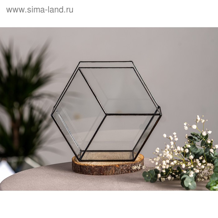 Флорариум «Соты 3d», стекло, швы чёрные - Фото 1