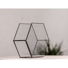 Флорариум «Соты 3d», стекло, швы чёрные - Фото 2