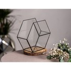 Флорариум «Соты 3d», стекло, швы чёрные - Фото 4