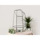 Флорариум «Айсберг», стекло, швы чёрные - Фото 1