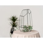 Флорариум «Айсберг», стекло, швы чёрные - Фото 3