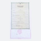 Папка для свидетельства о рождении, А5 «Малышка» - Фото 4