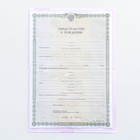 Папка для свидетельства о рождении, А5 «Малышка» - Фото 5