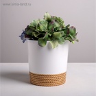 Кашпо для цветов «Эко», 1.6 л, d=14 см, h=14 см, пластиковое 4840673 - фото 319940697