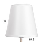 Бра «Ариадна» 1×40 Вт E14 золото патинированное 20×15×25 см - Фото 5