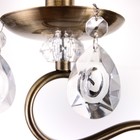 Бра «Инесса» 1×40 Вт E14 бронза 20×12×26 см - фото 57935049