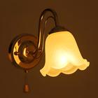 Бра 3905-165/1 40Вт E27 золото - фото 21055844