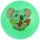 Мяч детский «Животные 1», с наклейкой, d=22 см, цвета МИКС - Фото 1
