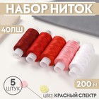 Набор ниток 40ЛШ, 200 м, 5 шт, цвет красный спектр - Фото 1