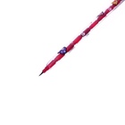 Карандаш-прикол секционный Calligrata «Лапка», НВ, МИКС - Фото 10