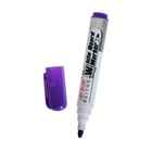 Набор маркеров для магнитно-маркерной доски, 12 цветов, узел 3.0 мм, ширина линии 3.0 мм, водные - Фото 3