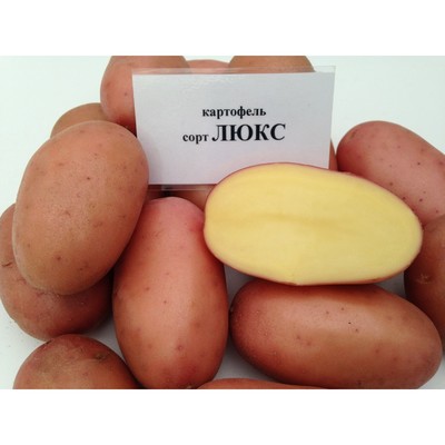 Семенной картофель Люкс, 1 репр., 1 кг