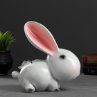 Копилка для денег «Зайка с цветами», гипс, серая, 20×20×10 см - Фото 6