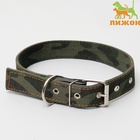 Ошейник брезентовый двухслойный «Камуфляж», 72×3.5 см, ОШ 45-60 см - Фото 2
