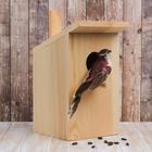 Скворечник со скошенной крышей - Фото 3