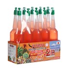 Удобрение японское FUJIMA, для кактусов и суккулентов, оранжевый, набор 10 шт. по 35 мл - фото 318315576
