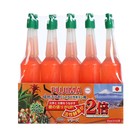 Удобрение японское FUJIMA, для кактусов и суккулентов, оранжевый, набор 10 шт. по 35 мл - фото 9917267
