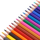 Карандаши 24 цвета ErichKrause, дерево, шестигранные, 3.0 мм грифель, картонная упаковка, европодвес - фото 21057373