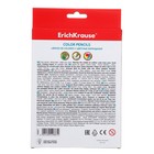 Карандаши 18 цветов ErichKrause, дерево, трехгранные, 3.0 мм грифель, картонная упаковка, европодвес - фото 22945370