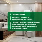 Чистящее средство для ухода за сантехникой Bath Acid PIus" Лимон", концентрат, 750 мл - Фото 3