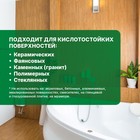 Чистящее средство для ухода за сантехникой Bath Acid PIus" Лимон", концентрат, 750 мл 4965537 - фото 13429751