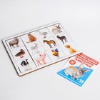 Карточки Домана с пазлами «Домашние животные» - фото 318315901