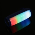 Портативная колонка SK1023BE, microSD/USB, Bluetooth 5.0, 10 Вт, 1200 мАч, синяя - Фото 5
