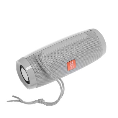 Портативная колонка SK1012GY, microSD/USB, Bluetooth 5.0, 10 Вт, 1200 мАч, серая