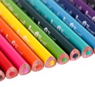 Карандаши 12 цветов Easycolor в металлической коробке с ложементом - фото 23345353