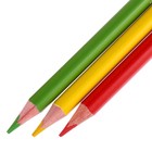 Карандаши 12 цветов Easycolor в металлической коробке с ложементом - фото 23345354